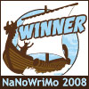 nano_08_winner_viking_100x100